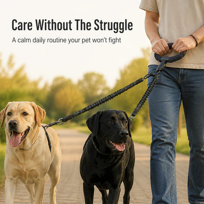 Dual-Dog Shock Absorbing Bungee Leash
