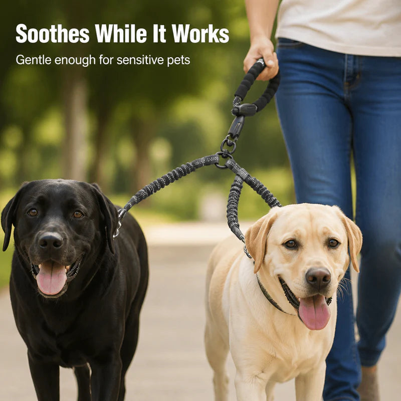 Dual-Dog Shock Absorbing Bungee Leash