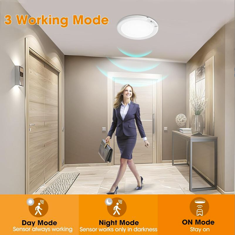 Motion Sensor Ceiling Light