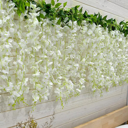 🌸WISTERIA Seeds - THE GARDEN’S CASCADING BEAUTY ALL YEAR ROUND