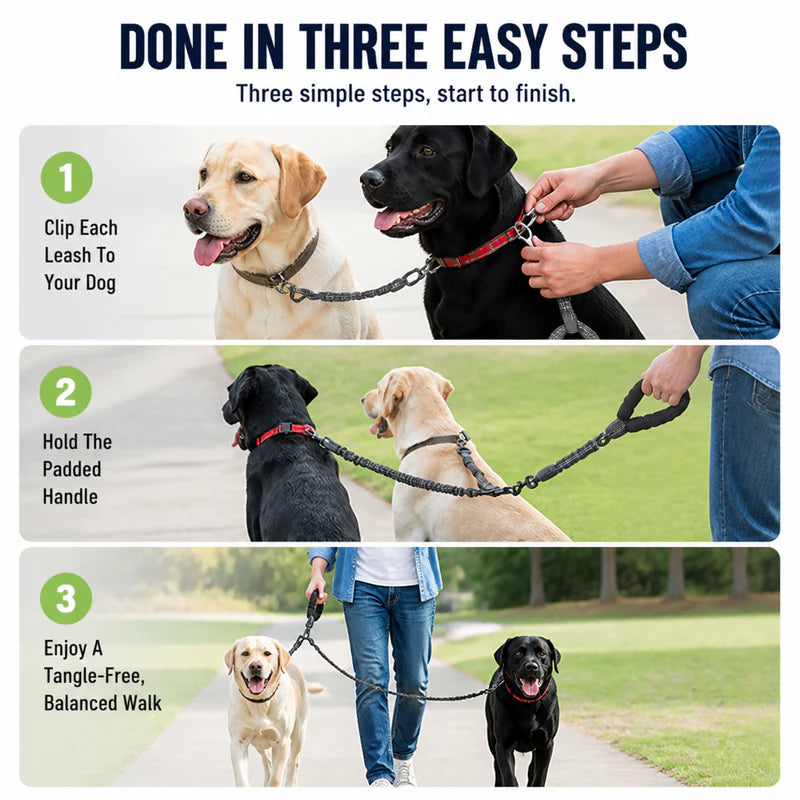 Dual-Dog Shock Absorbing Bungee Leash