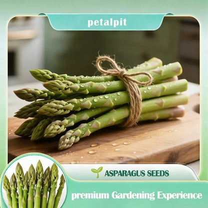 🌿Perennial Asparagus Seeds – Tender Green Garden Vegetable Seeds for Home Planting
