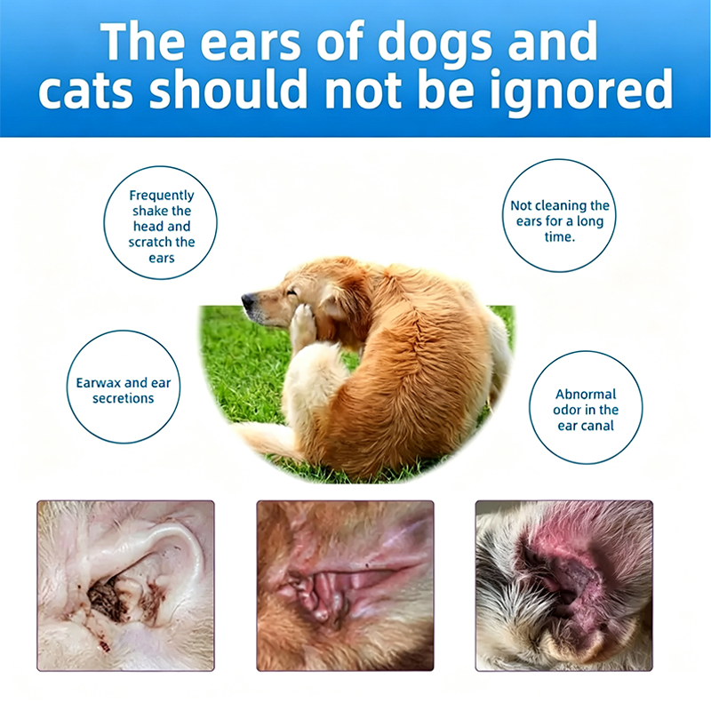 PawPure – Gentle Pet Ear Cleansing Solution