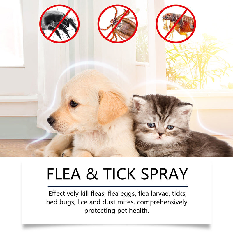 Vcoxno™ — Instantly Soothe Itchy Skin and Keep Pesky Pests Far Away
