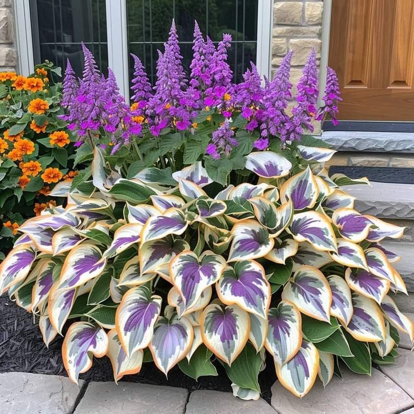 LETZTER TAG: 3 KAUFEN, 2 GRATIS! 🍃 Seltene Hosta-Samen 🌿 Überlebensrate bis zu 95 % 