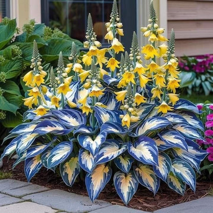 LETZTER TAG: 3 KAUFEN, 2 GRATIS! 🍃 Seltene Hosta-Samen 🌿 Überlebensrate bis zu 95 % 