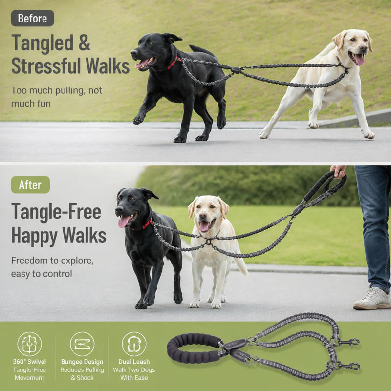 Dual-Dog Shock Absorbing Bungee Leash
