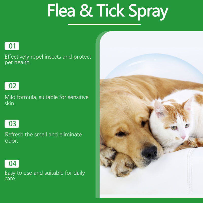 Vcoxno™ — Instantly Soothe Itchy Skin and Keep Pesky Pests Far Away
