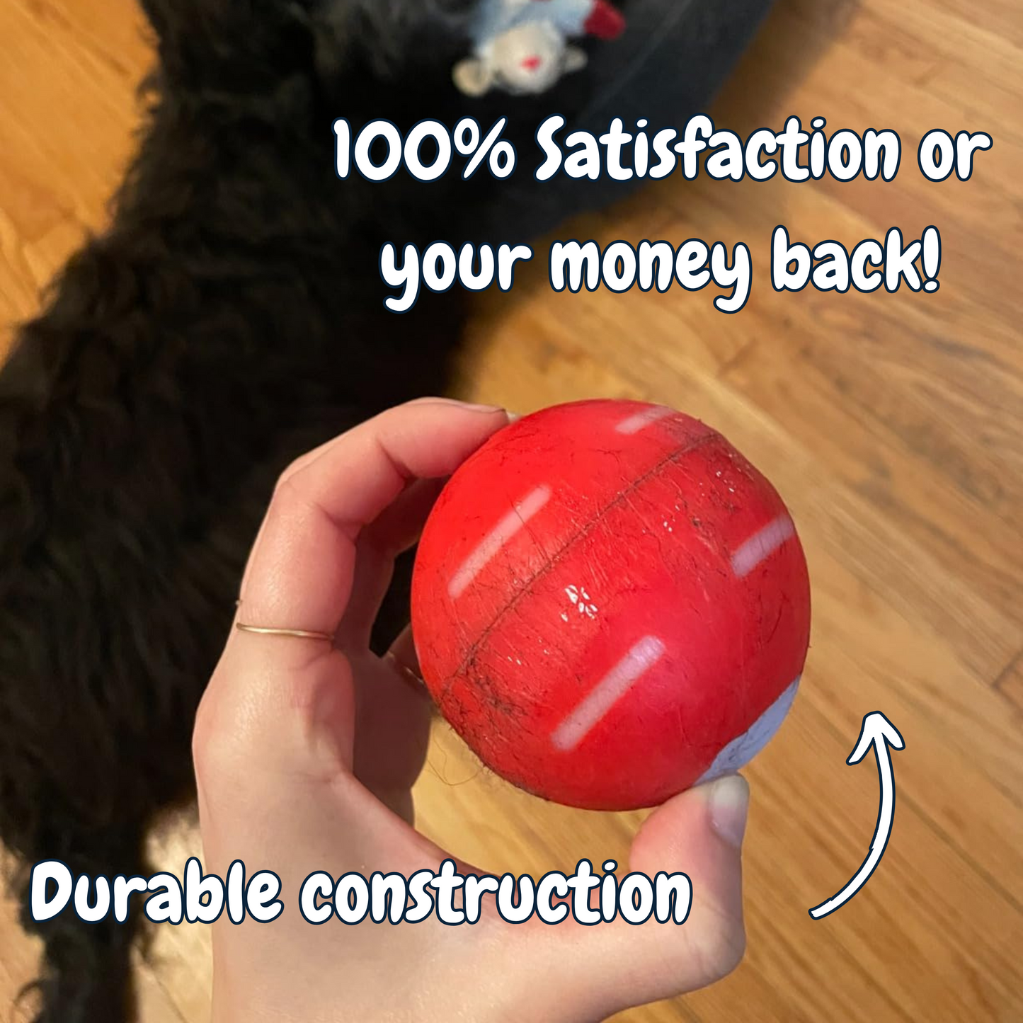 LETZTER TAG IM ANGEBOT: 50 % RABATT – Hüpfball für Haustiere 